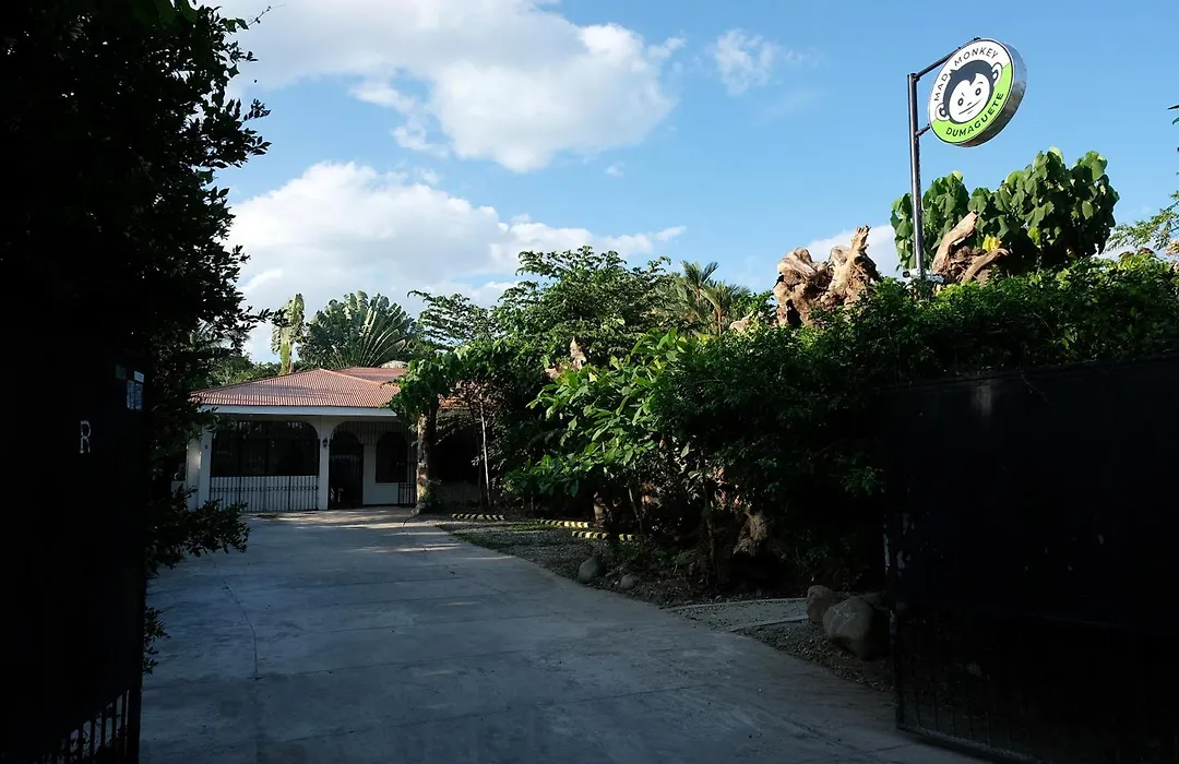 Mad Monkey Dumaguete-1