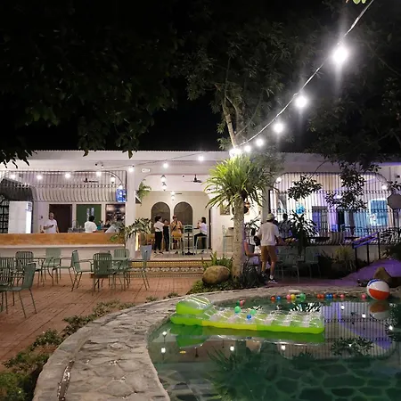 Mad Monkey Dumaguete-3